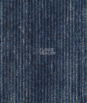 Ковровая плитка IVC Shared Path на акустической основе Echo Acoustic 569 фото 1 | FLOORDEALER